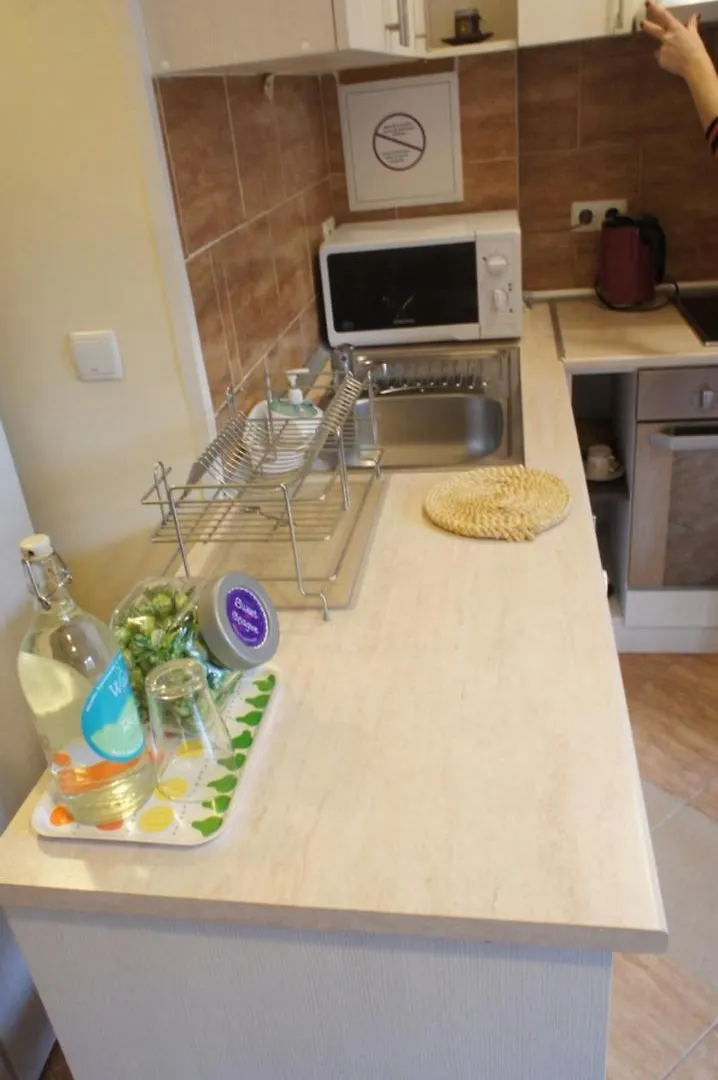 City Apartment Sofia